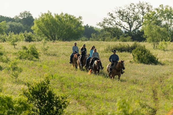 Wildcatter Ranch