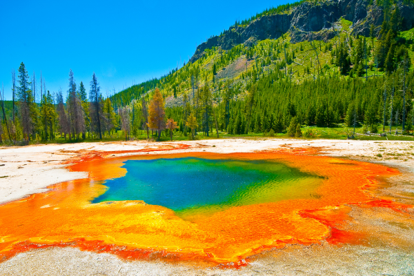 Yellowstone