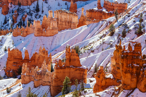 Bryce National Park in winter