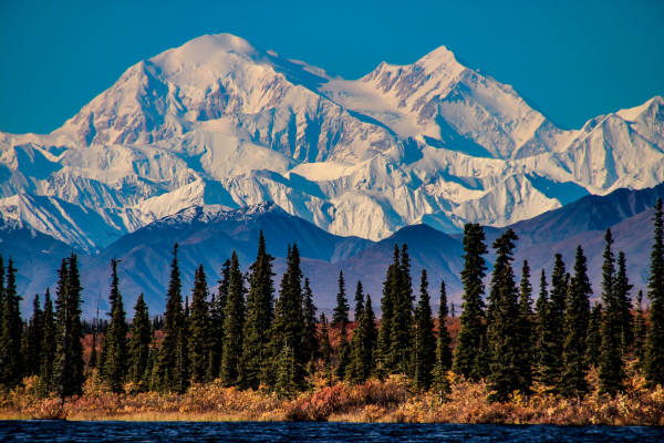 Denali National Park in winter