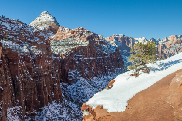 Zion National Park in winter