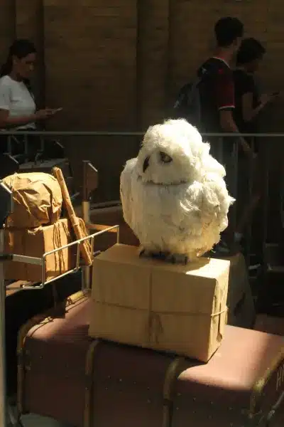 Universal Studios