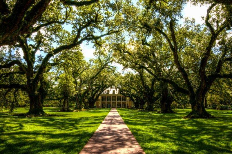 Oak Alley Plantation (4)