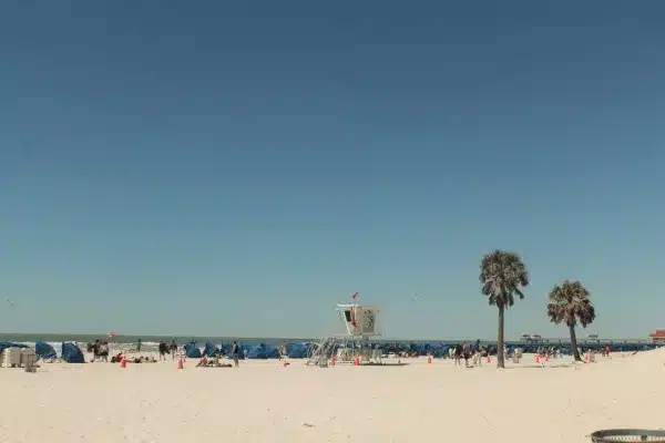 Clearwater Beach & Tampa
