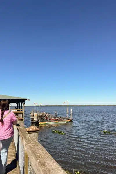 Wild Florida Airboat