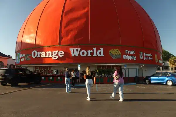 Eli's Orange World