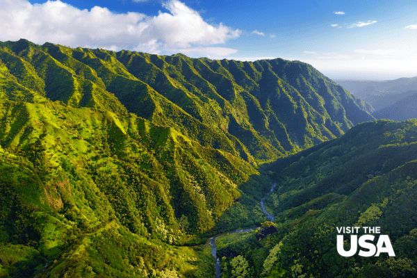 Jurassic Park Hawaii