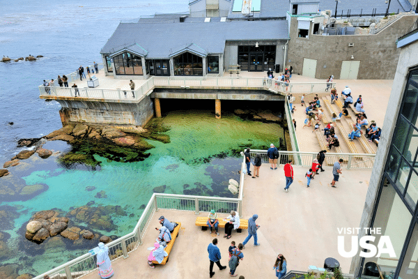Monterey Bay Aquarium