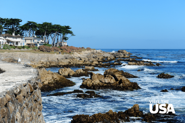 Monterey