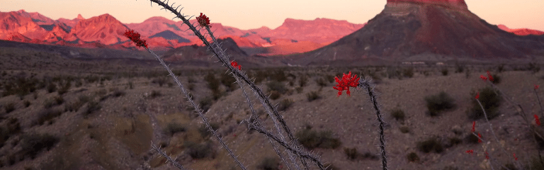 Texas ontdekken | Big Bend en Guadalupe Mountains verkennen