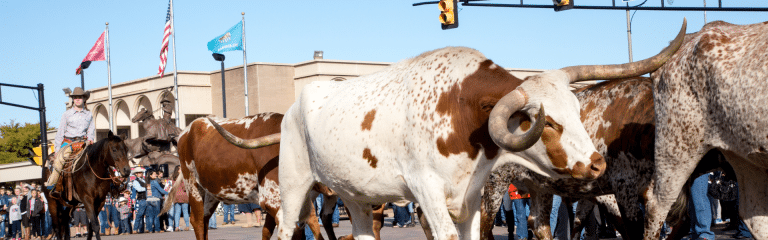 Rondreis Texas Oklahoma Arkansas