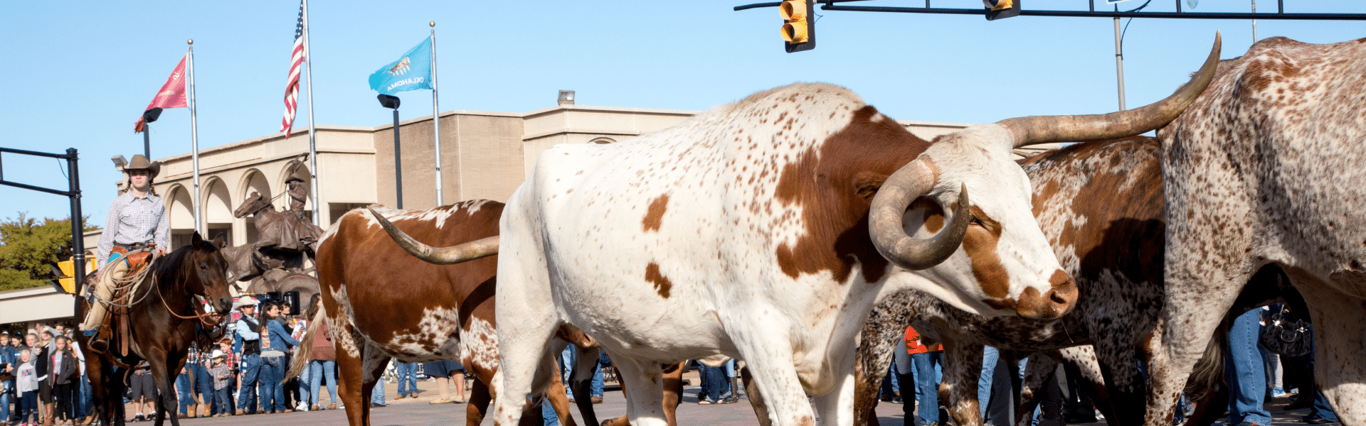 Rondreis Texas Oklahoma Arkansas