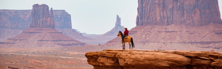 reizen naar de Verenigde Staten